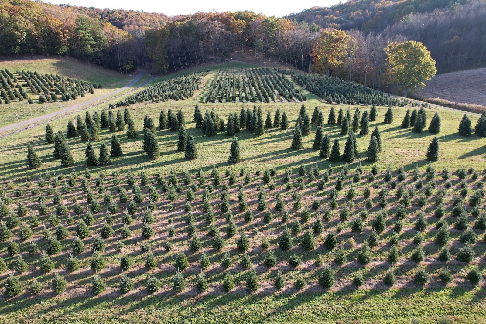 Conventional vs. Experiential: Why the Future of Incentive Travel is Purpose-Infused